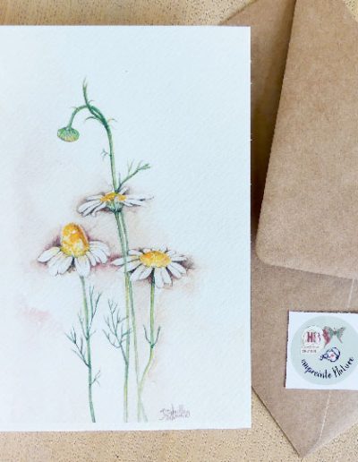 papeterie illustration nature by HB