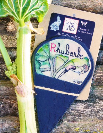 étiquette pour jardin et potager en ardoise