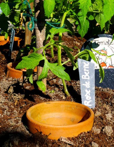 étiquette pour jardin et potager en ardoise signée by HB