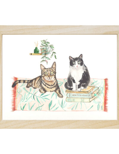illustration animalière