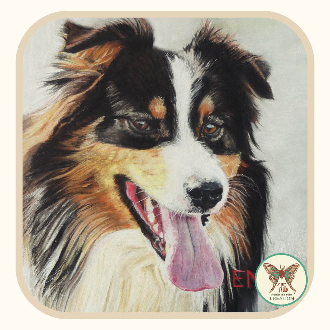 portrait animaux pastels secs isabelle blandin